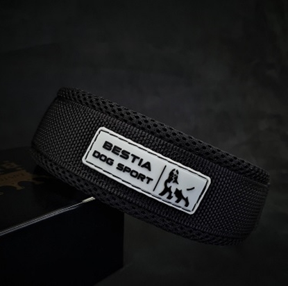 Picture of Bestia Sport Fast Release Dog Collar